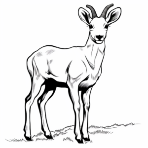 Artsy Bighorn Sheep Silhouette Coloring Pages 4