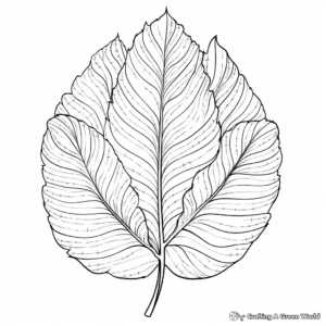 Aspen Leaf Coloring Pages with Autumn Hues 1