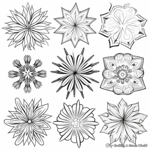 Assorted Snowflakes: Variety Pack Coloring Pages 4