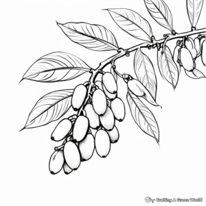 Autumn-themed Pecan Leaves Coloring sheets 3