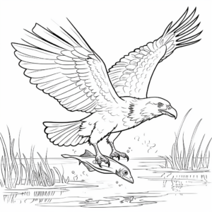 Bald Eagle Hunting Fish Coloring Page 3