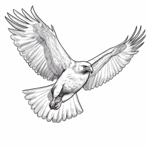 Bald Eagle in Flight Coloring Pages 1