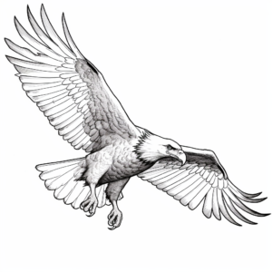 Bald Eagle in Flight Coloring Pages 4