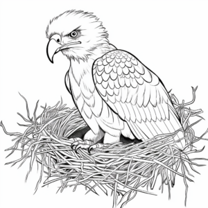 Bald Eagle in Habitat Coloring Page 4