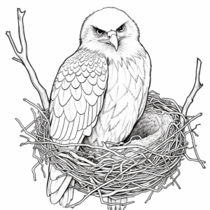Bald Eagle Nest Coloring Sheet 4