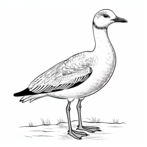 Beautiful Bar-headed Goose Coloring Pages 4