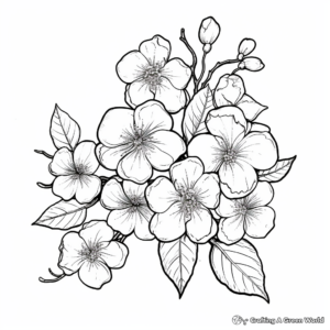 Beautiful Blooming Cherry Blossom Coloring Pages 4