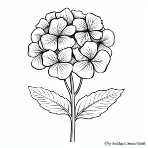 Beautiful Blue Hydrangea Coloring Pages 1