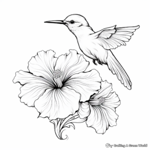 Beautiful Hummingbird and Hibiscus Coloring Pages 4