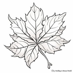 Beautiful Maple Leaf Coloring Pages 1