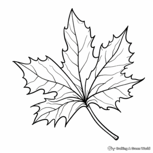 Beautiful Maple Leaf Coloring Pages 3