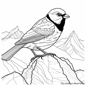 Beautiful Mountain Chickadee Coloring Pages 2