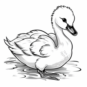 Beautiful Swan Cygnet Coloring Sheets 3