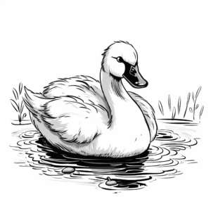 Beautiful Swan Cygnet Coloring Sheets 4