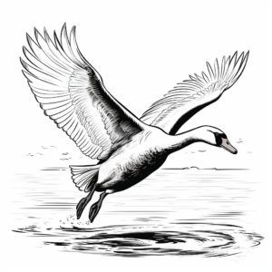 Beautiful Swan in Flight Coloring Pages for Artists 4
