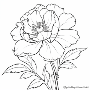 Beautiful Traditional Peony Coloring Pages 2