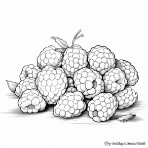 Berry Mix: Blackberry and Raspberry Coloring Sheets 3