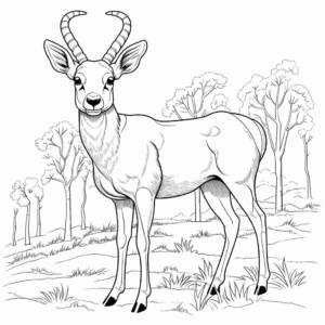 Bighorn Sheep in the Wild: Natural Scene Coloring Pages 1