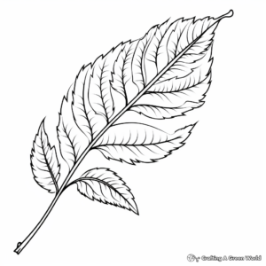 Birch Leaf Autumn Coloring Pages 1
