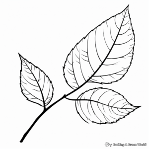 Birch Leaf Autumn Coloring Pages 3
