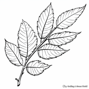 Birch Leaf Autumn Coloring Pages 4
