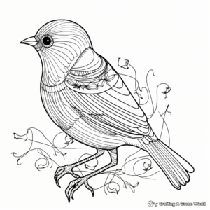 Bird Anatomy Coloring Pages 1