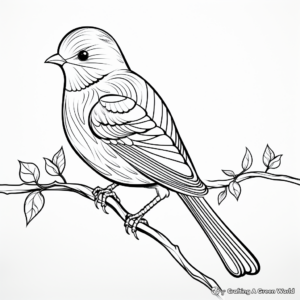 Bird Anatomy Coloring Pages 4