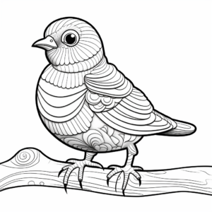 Bird Series: Colorful American Goldfinch Coloring Pages 4