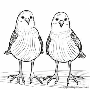 Birds Feet Coloring Pages 3