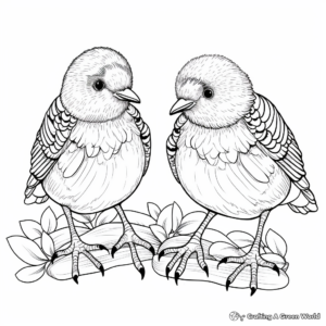 Birds Feet Coloring Pages 4