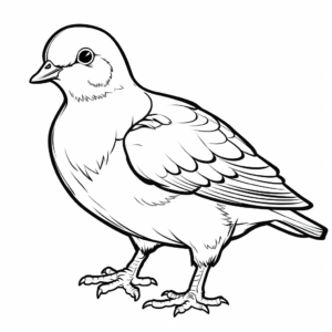 Black and White Pigeon Coloring Pages 4