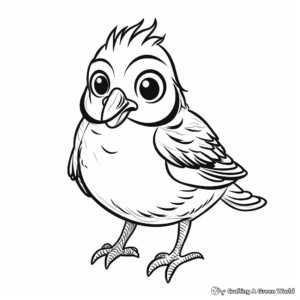 Blue Jay Chick Coloring Pages for Children 2