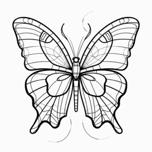 Blue Morpho Butterfly Coloring Pages with Interactive Learning Elements 1