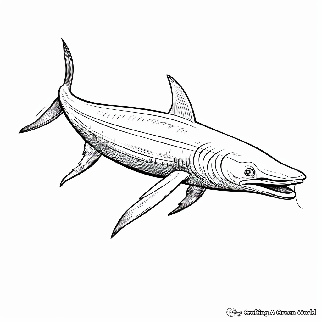 Blue Whale Anatomy Educational Coloring Page 1