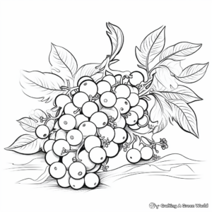 Blueberry Bush Coloring Pages for Kids 4