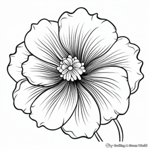 Bold Poppy Flower Coloring Sheets 4