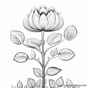 Botanical Fig Illustration Coloring Pages 4