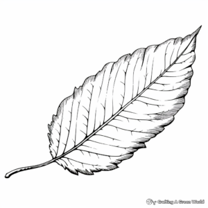 Bronze Beech Leaf Coloring Pages 1
