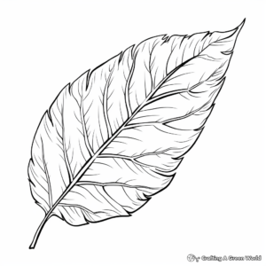 Bronze Beech Leaf Coloring Pages 3