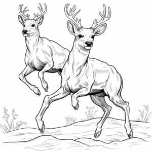 Bucks in Action: Jumping Deer Coloring Pages 1