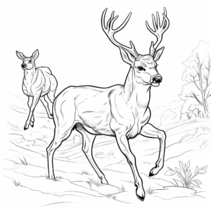 Bucks in Action: Jumping Deer Coloring Pages 4