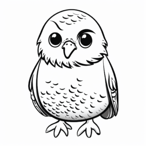 Budgie Chick Coloring Pages for Kids 2