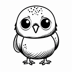 Budgie Chick Coloring Pages for Kids 4