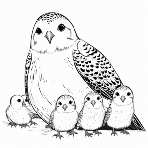 Budgie Family Coloring Pages: Male, Female, and Chicks 1
