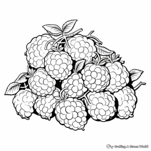 Bunch of Fresh Raspberries Coloring Pages 1