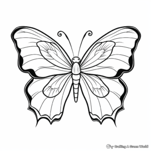 Butterfly on a Marigold Flower Coloring Pages for Preschoolers 2