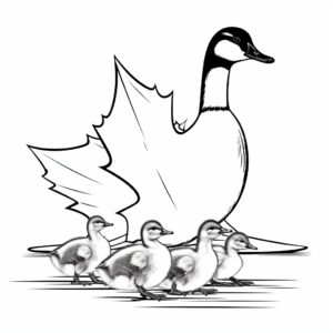 Canadian Flag and Canada Geese Coloring Pages 3