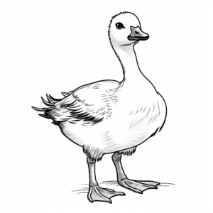 Canadian Goose Coloring Pages 1