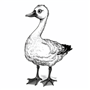 Canadian Goose Coloring Pages 4