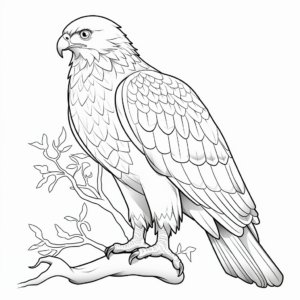 Captivating Bird of Prey Hawk Coloring Pages 1